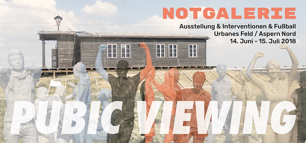Pubic Viewing