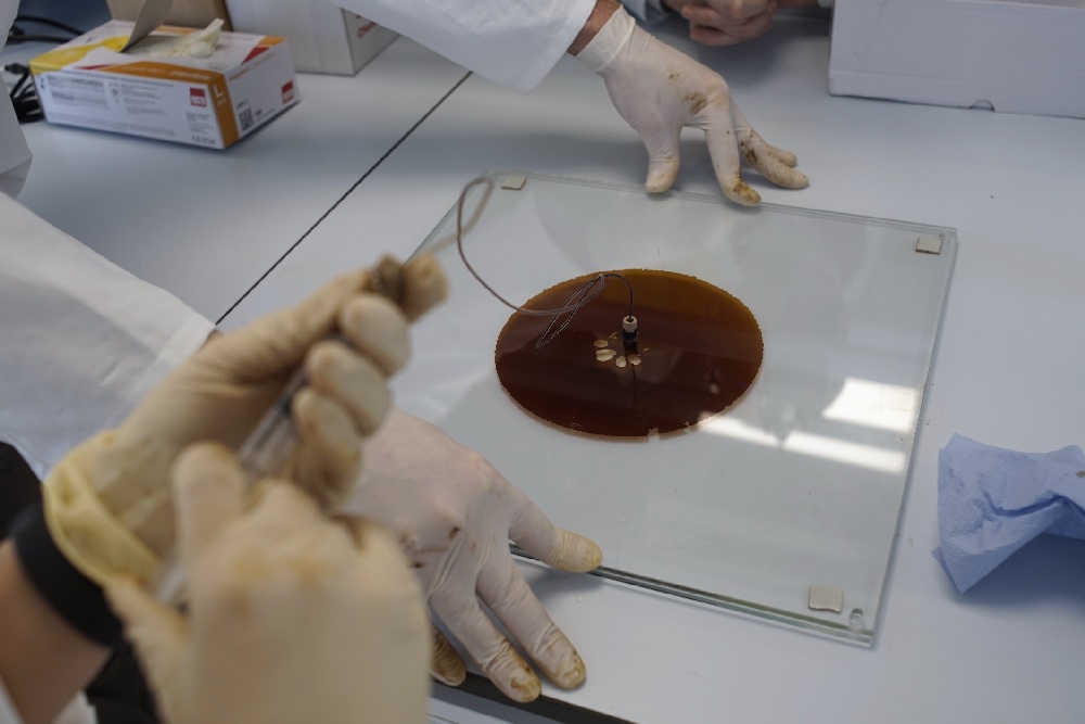 Reflecting Oil/ Art and Petroculture II