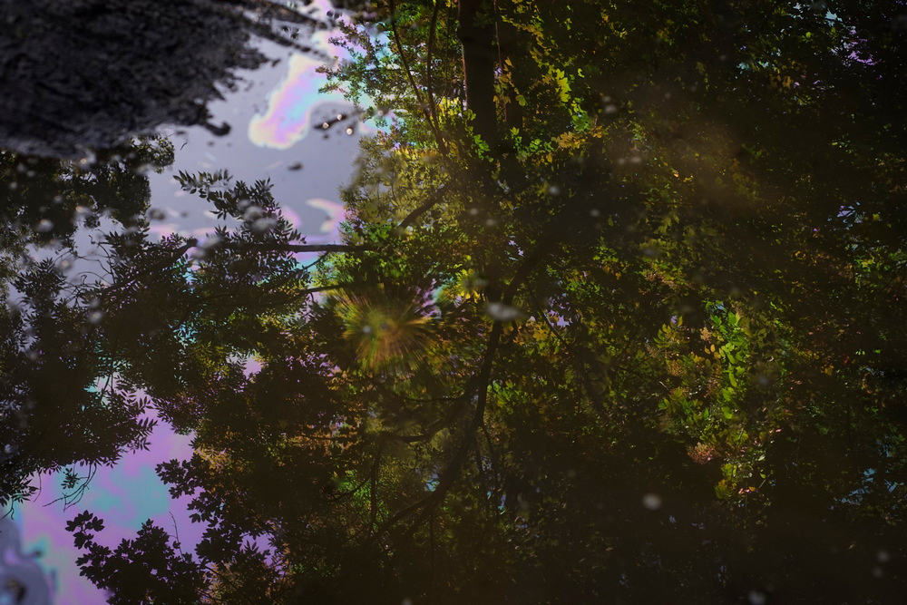 Reflecting Oil – Art and Petroculture III