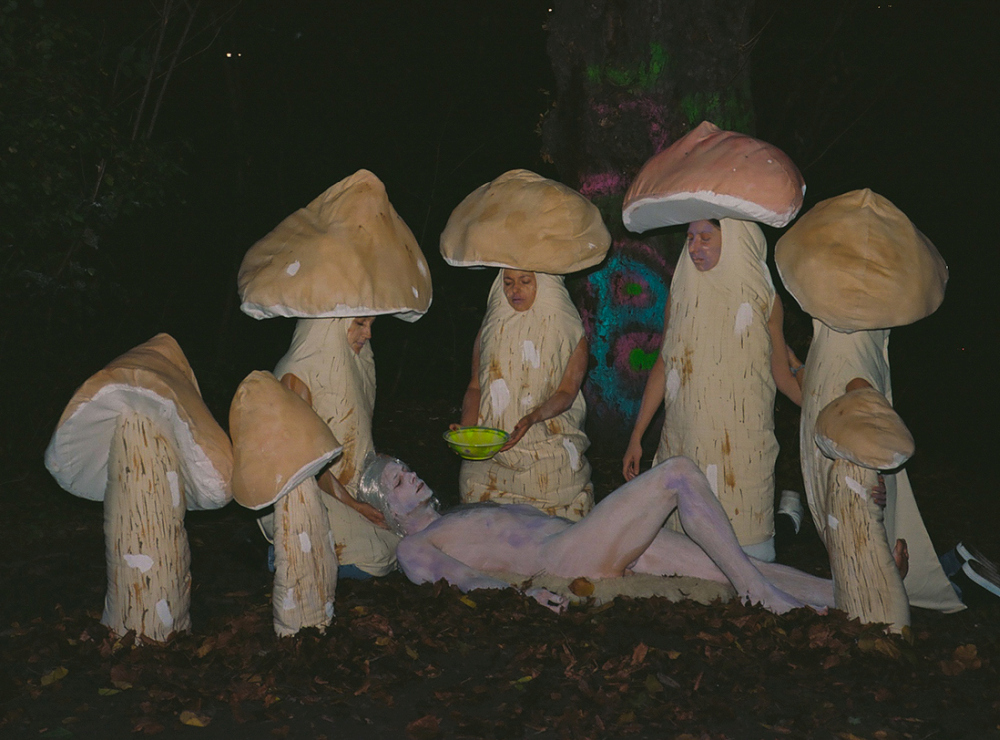 Rehearsing Nonhuman Perspectives