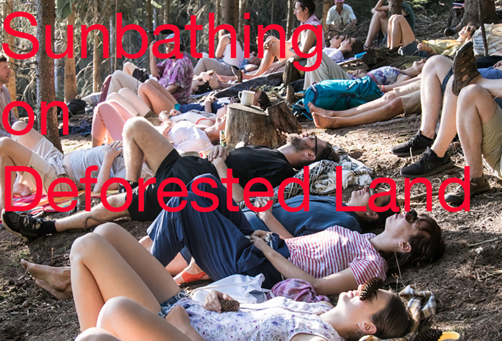 Sunbathing on Deforested Land