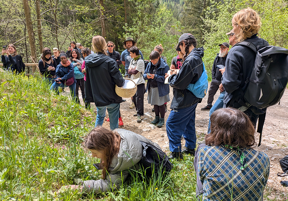 Excursion Wilderness